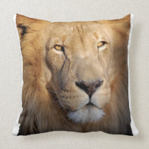 Lion Images Pillow