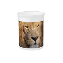 Lion Images Pitcher