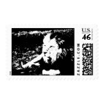 Lion in Black and White Stamp
