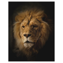 lion in darkness flyers