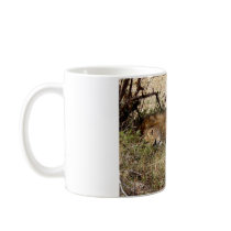 LION IN KENYA AFRICA mugs by ANGELHELEN LION IN KENYA AFRICA mugs