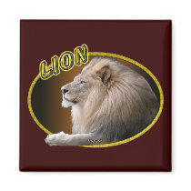 lion in oval magnets
