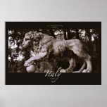 Lion in Park Print