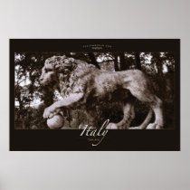 Lion in Park posters