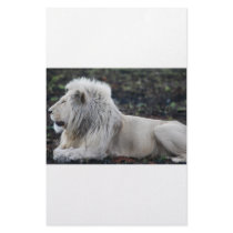 Lion in repose customized stationery