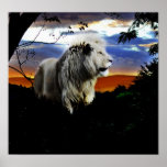 Lion in the jungle poster