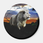 Lion in the jungle refrigerator magnets