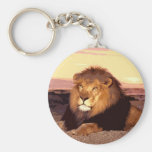 Lion Key Chains