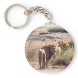 Lion keychain