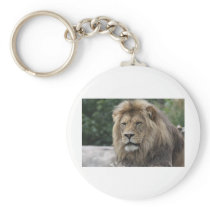 Lion Keychain
