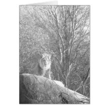 Lion King Card