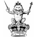 Lion king - King of Beasts t-shirts by Funkart Lion king - King of Beasts t-shirts