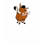 Lion King Pumbaa Similing Disney t-shirts
