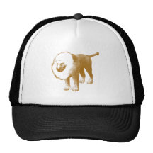 Lion lion hats