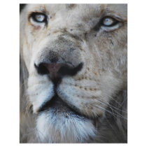 Lion listens to my heartbeat flyers