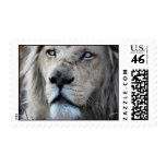 Lion listens to my heartbeat postage stamps