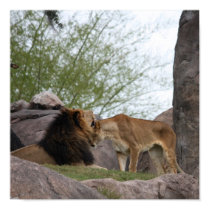 Lion Love posters by RebekahRIOT Lion Love posters