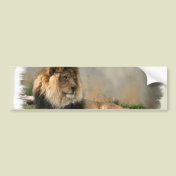 Lion Lovers Art Gifts