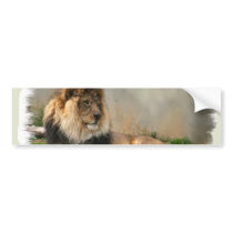 Lion Lovers Art Gifts Bumper Sticker