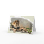 Lion Lovers Art Gifts cards