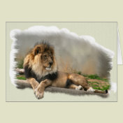 Lion Lovers Art Gifts