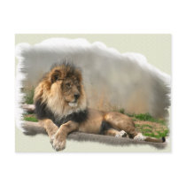 Lion Lovers Art Gifts Post Cards
