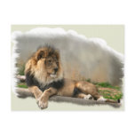 Lion Lovers Art Gifts Post Cards