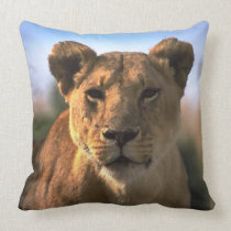 Lion Lovers Female Lioness pillows