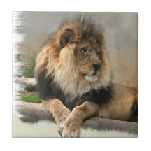 Lion Lovers King of the Jungle Ceramic Tiles