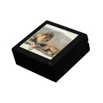 Lion Lovers King of the Jungle Gift Boxes