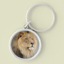 Lion Lovers King of the Jungle keychains