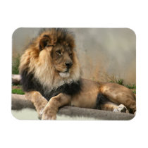 Lion Lovers King of the Jungle Magnet