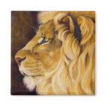 Lion Magnet magnets