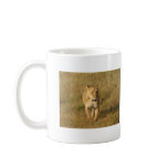 Lion - Male & Female mugs