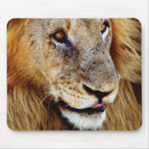 Lion male - wildlife safari computer mousepads by Rowood Lion male - wildlife safari computer mousepads