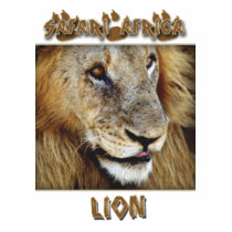 Lion male - wildlife safari kids t-shirts by Rowood Lion male - wildlife safari kids t-shirts
