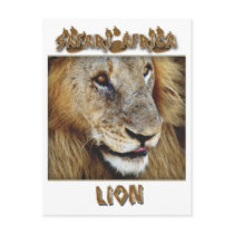 Lion male - wildlife safari postcards by Rowood Lion male - wildlife safari postcards