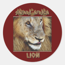 Lion male - wildlife safari stickers