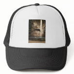 Lion Monument, and fountain, Lucerne, Switzerland Hats
