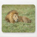 Lion Mouse Pad mousepads by new_visions Lion Mouse Pad mousepads