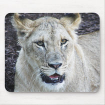 Lion mousepad mousepads