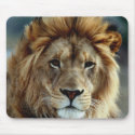 Lion Mousepad by JudsonJoyce Lion Mousepad