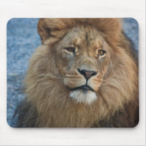 Lion Mousepad by SabineSt Lion Mousepad