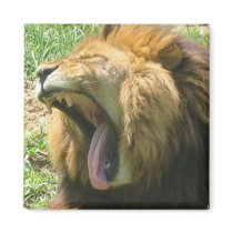 lion mouth magnets by amwesley lion mouth magnets