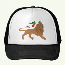 Click here to buy