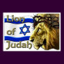 Lion of Judah Posters