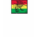 Lion of Judah t-shirts