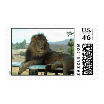 Lion on Car Postage Stamp