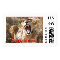 Lion, open mouth, Kenya, Happy Birthday! postage by krisfiddle Lion, open mouth, Kenya, Happy Birthday! postage
