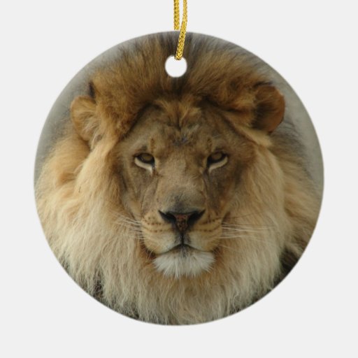 LION ORNAMENT Zazzle